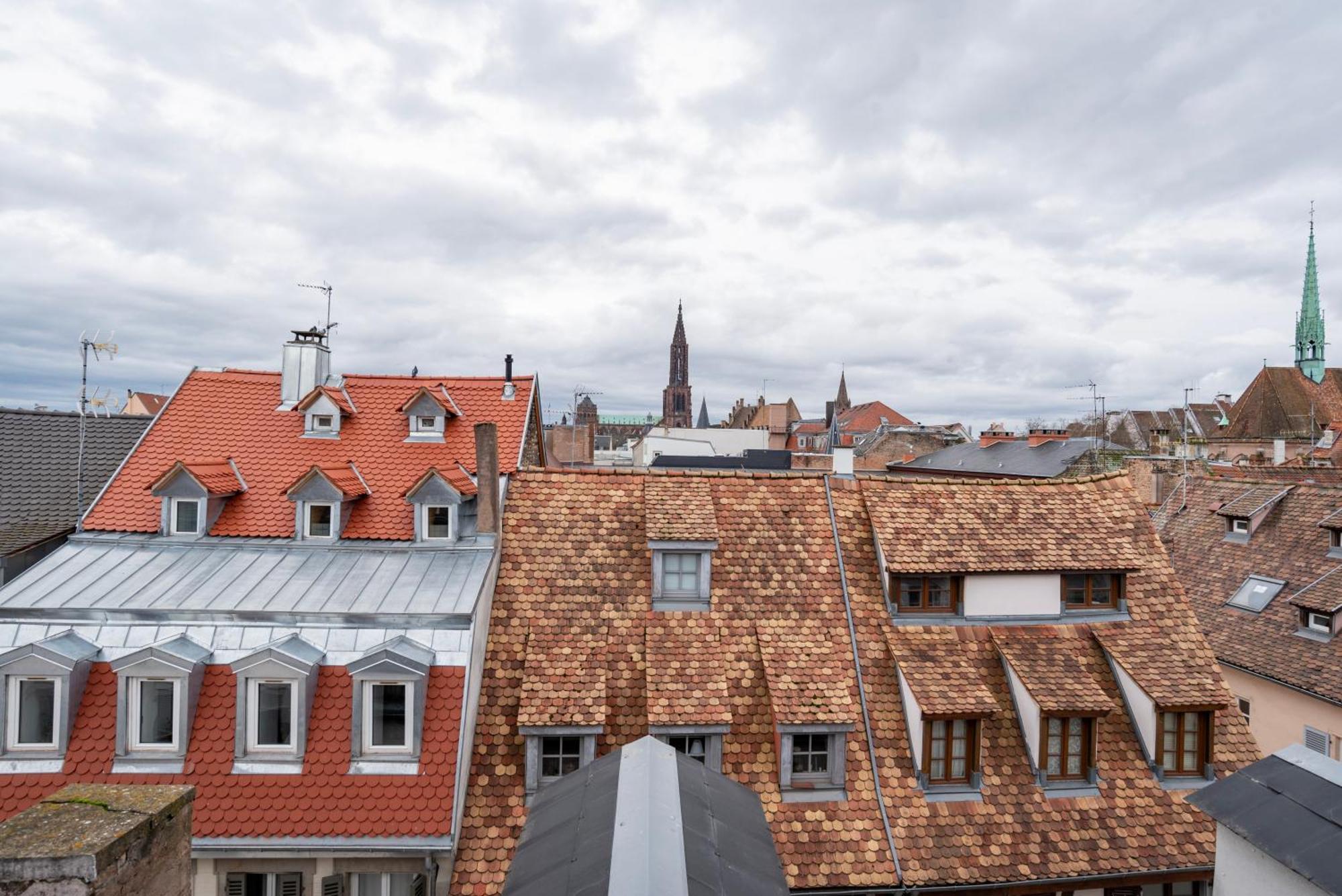 Le Schoepflin - Coeur De Strasbourg - Vue Toits Bagian luar foto